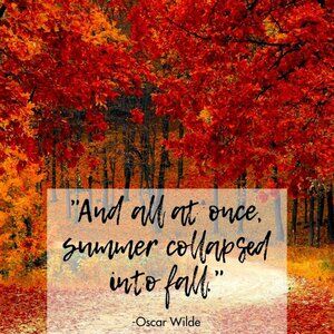 Looking Ahead to Fall!